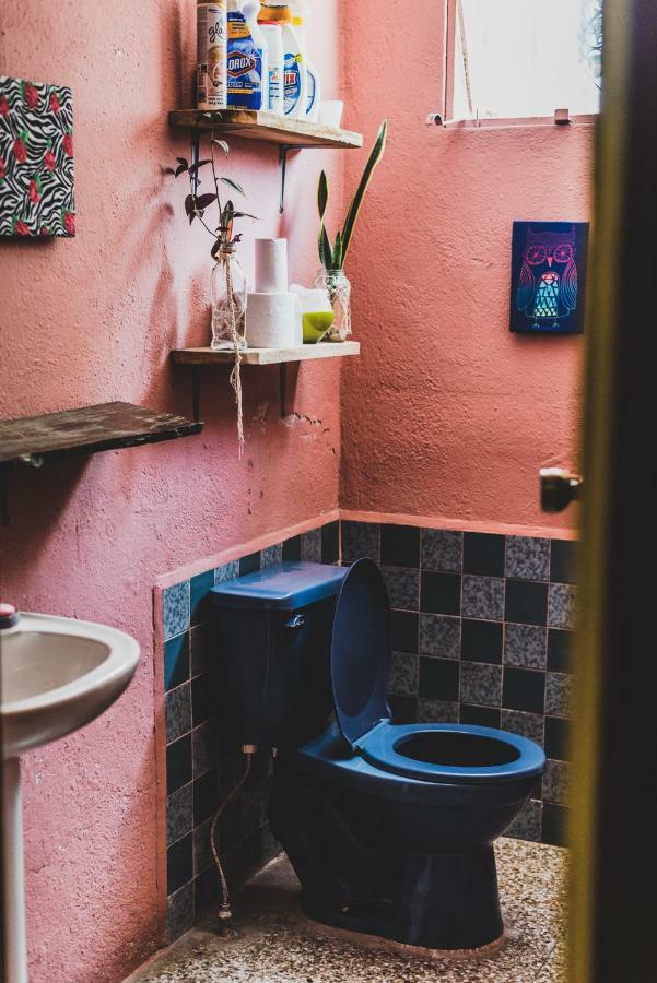 Ciao Cacao Hostel & Vegan Cafe Flores Exterior photo